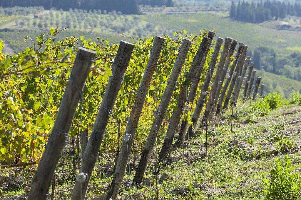 Villa Agriturismo La Presura Strada in Chianti Exterior foto